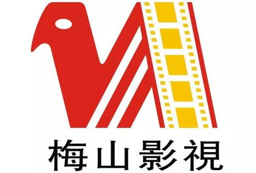 关于梅山影视广播电视节目制作经营的郑重声明